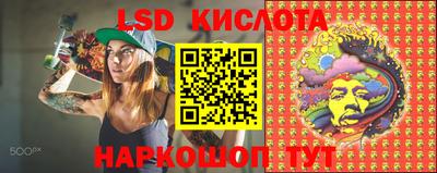стаф Абакан