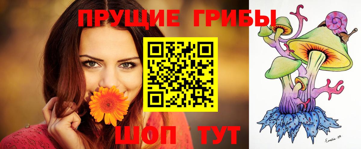 Россия  наркотики  Вход с VPN  Галлюциногенные грибы MAGIC MUSHROOMS 